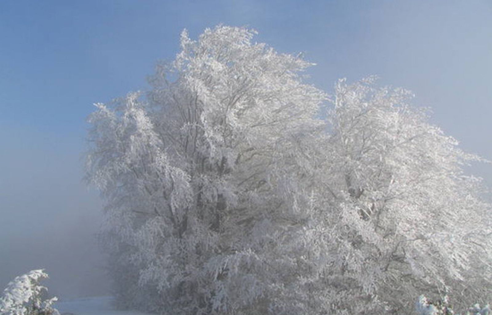 Comando Actualidad - El invierno más frío - Avance - Comando Actualidad | Ver