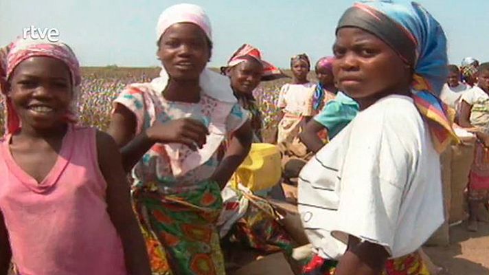 Impactes - Campanya Flors de Moçambic