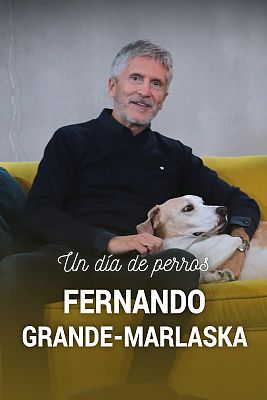 Un día de perros - Fernando Grande-Marlaska