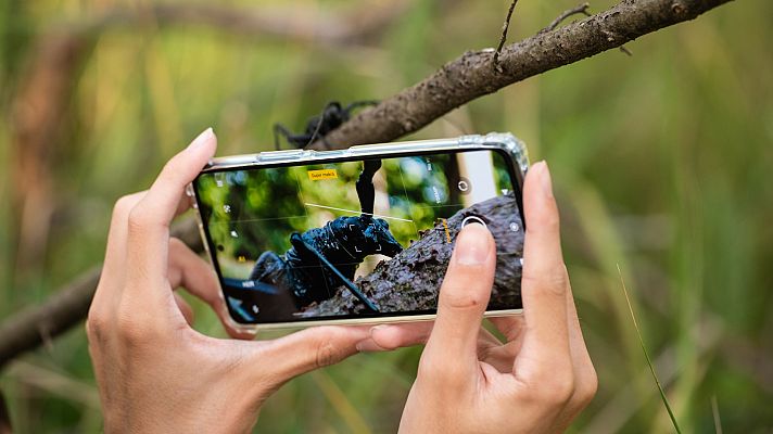 Telediario 1 - Las imágenes de redes sociales, una mina para los científicos