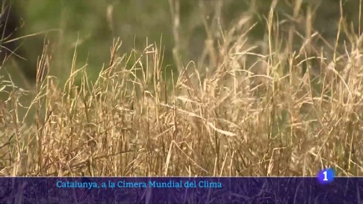 L'Informatiu - Nous crèdits climàtics per a empreses contaminants