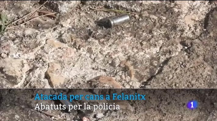 Informatiu Balear - Informatiu Balear en 2' - 01/12/23