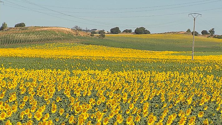 Agrosfera - Agrosfera - 02/12/23