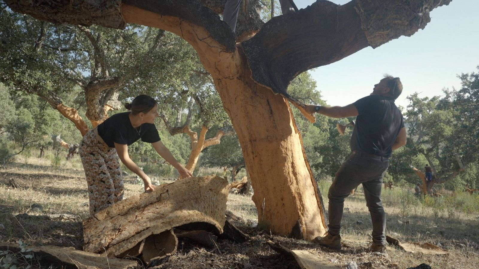 Reduce tu huella - Sobrevolando el Tajo - ver ahora