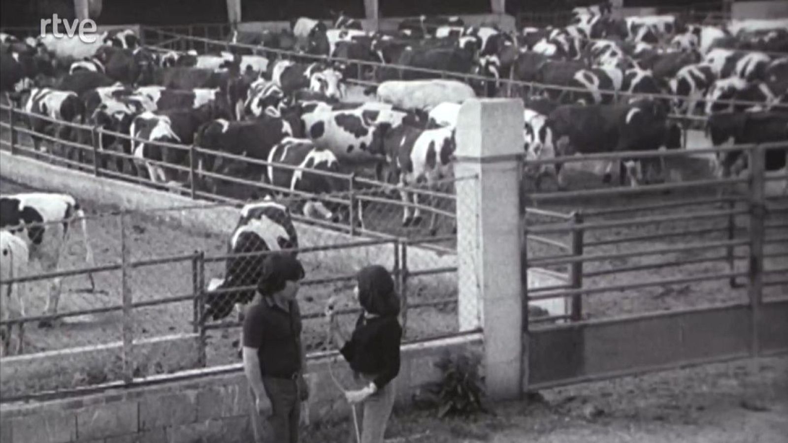 La situació de l'agricultura i la ramaderia a Lleida - Mirador | Veure