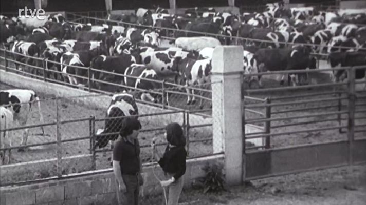  - La situació de l'agricultura i la ramaderia a Lleida