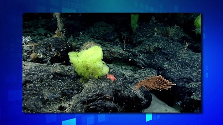 Saber y ganar - Saber y ganar - 04/12/23