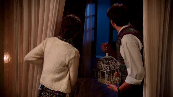 Salón de té La Moderna - El periquito de Teresa se escapa de la jaula