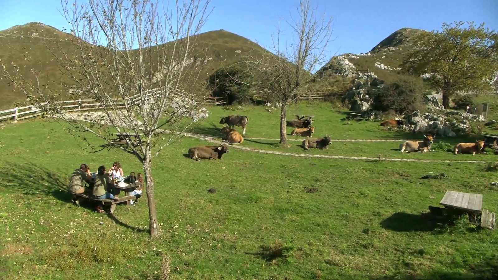 Comando actualidad - Prisas, las justas - Ver ahora