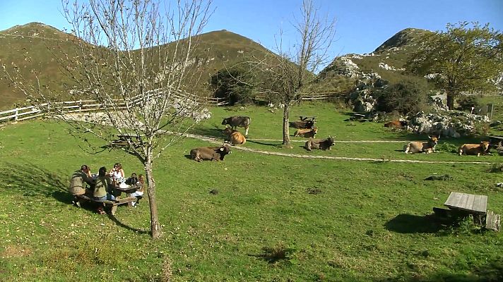 Comando Actualidad - Prisas, las justas