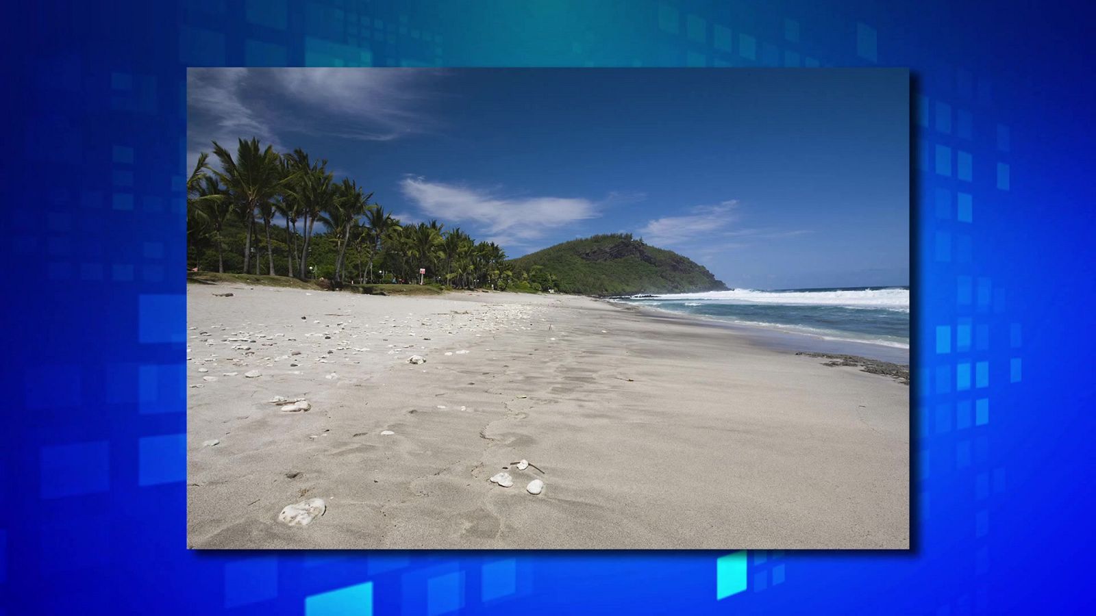 Saber y ganar - 06/12/23 - ver ahora