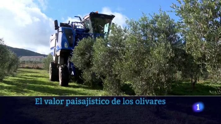 Informativo Telerioja - Informativo Telerioja  - 07/12/23