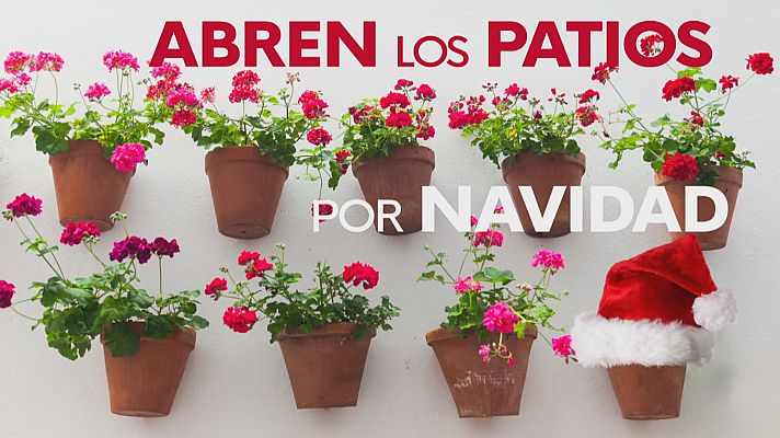 Noticias Andalucía - Patios cordobeses en Navidad