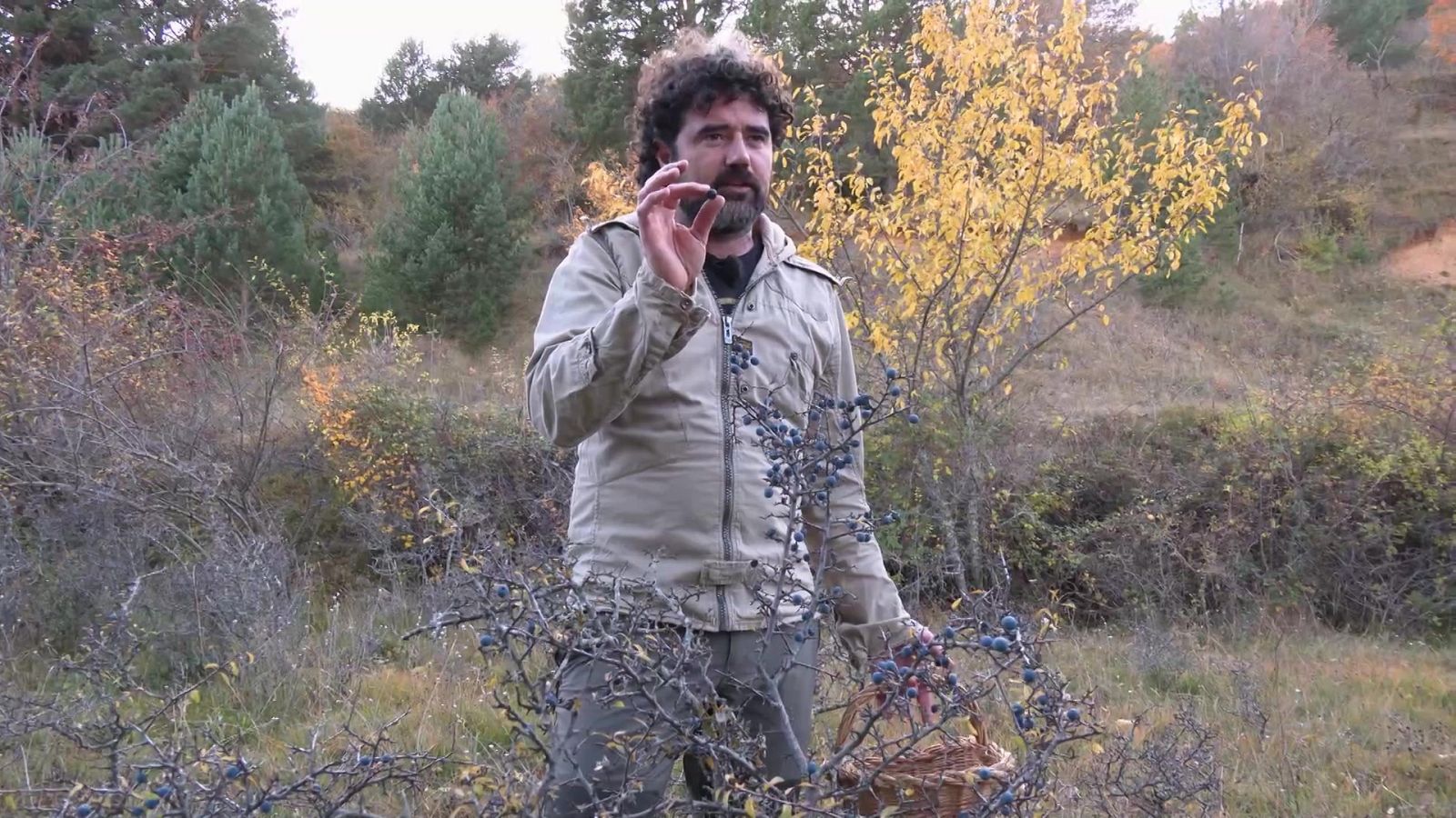 Aquí la Tierra - 07/12/23 - ver ahora