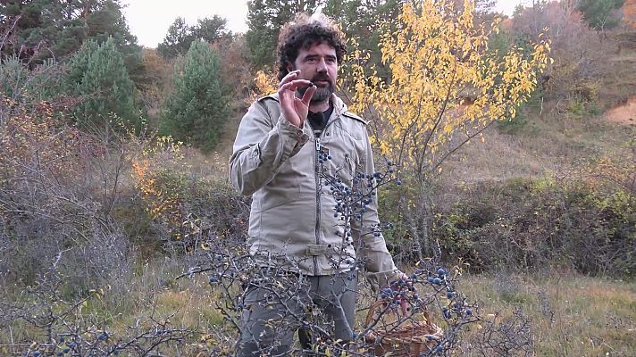 Aquí la Tierra - Aquí la Tierra - 07/12/23