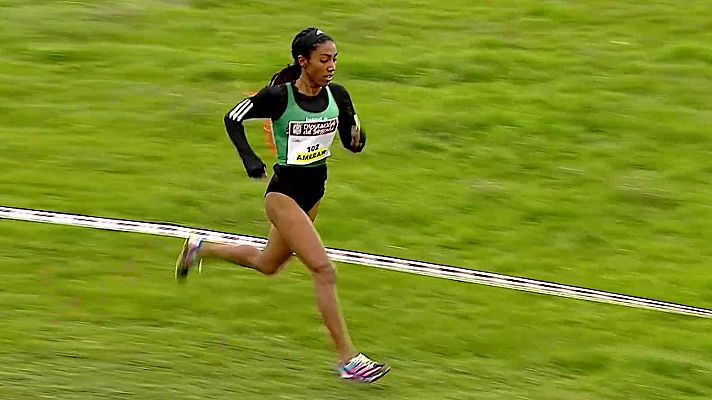 Cross - Cross Nacional Ayuntamiento de Cantimpalos