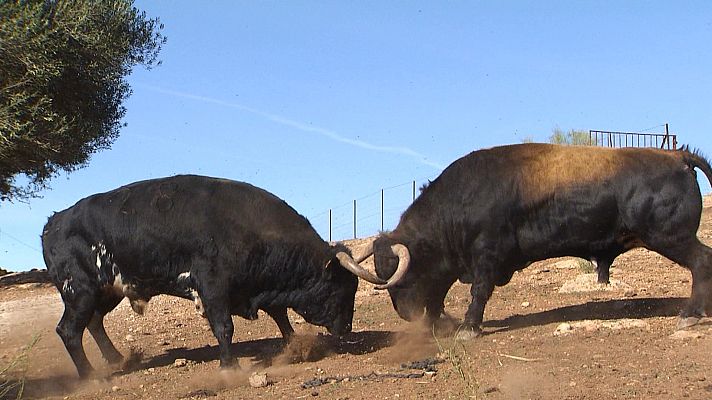 Tendido cero - Tendido cero - 09/12/23