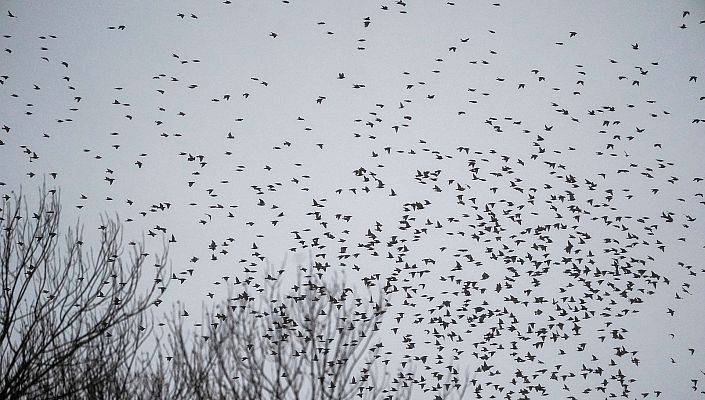 El tiempo - Suben las temperaturas de forma generalizada en todo el país