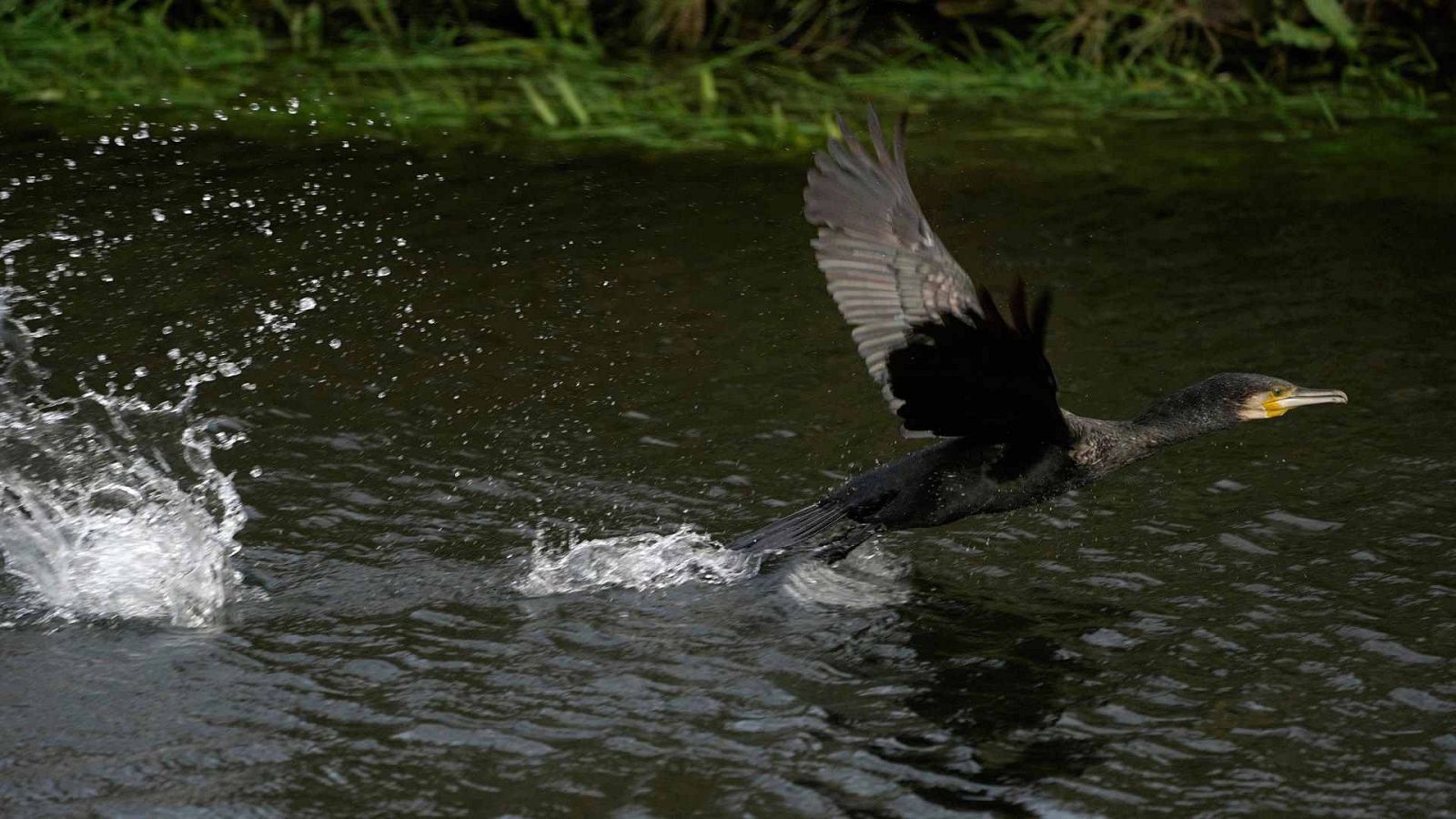 Las temperaturas suben de forma generalizada