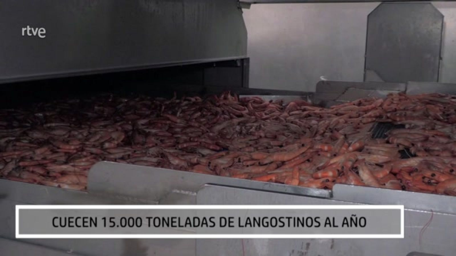 AQUÍ HAY TRABAJO - El trabajo en un cocedero de marisco - ver ahora