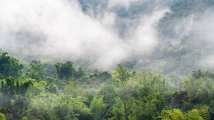 Telediario 1 - Los ríos voladores de la Amazonía, en peligro