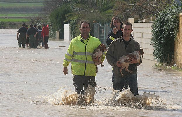 Telediario 1 - Telediario en 4' - 24/02/10