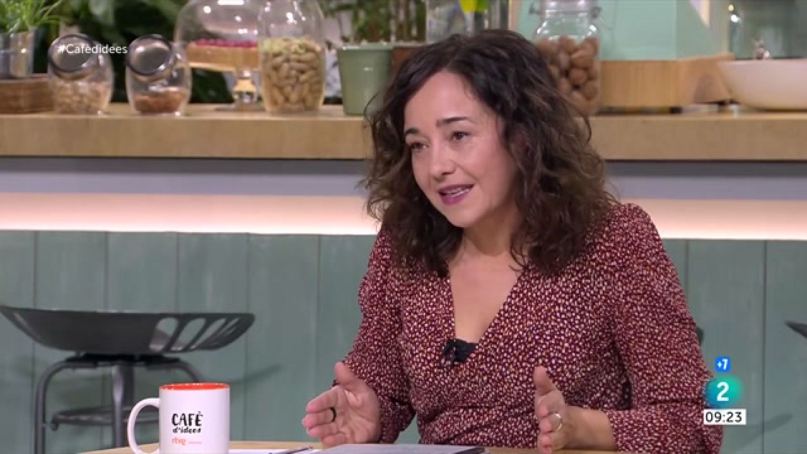 Mònica Nadal: "Simó va fer una assumpció de responsabilitats una mica feble"