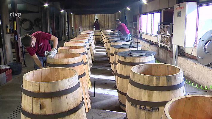 Aquí hay trabajo - Aquí hay trabajo - 12/12/23