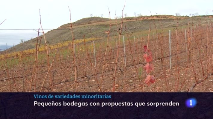 Informativo Telerioja - Telerioja en 2' - 12-12-2023