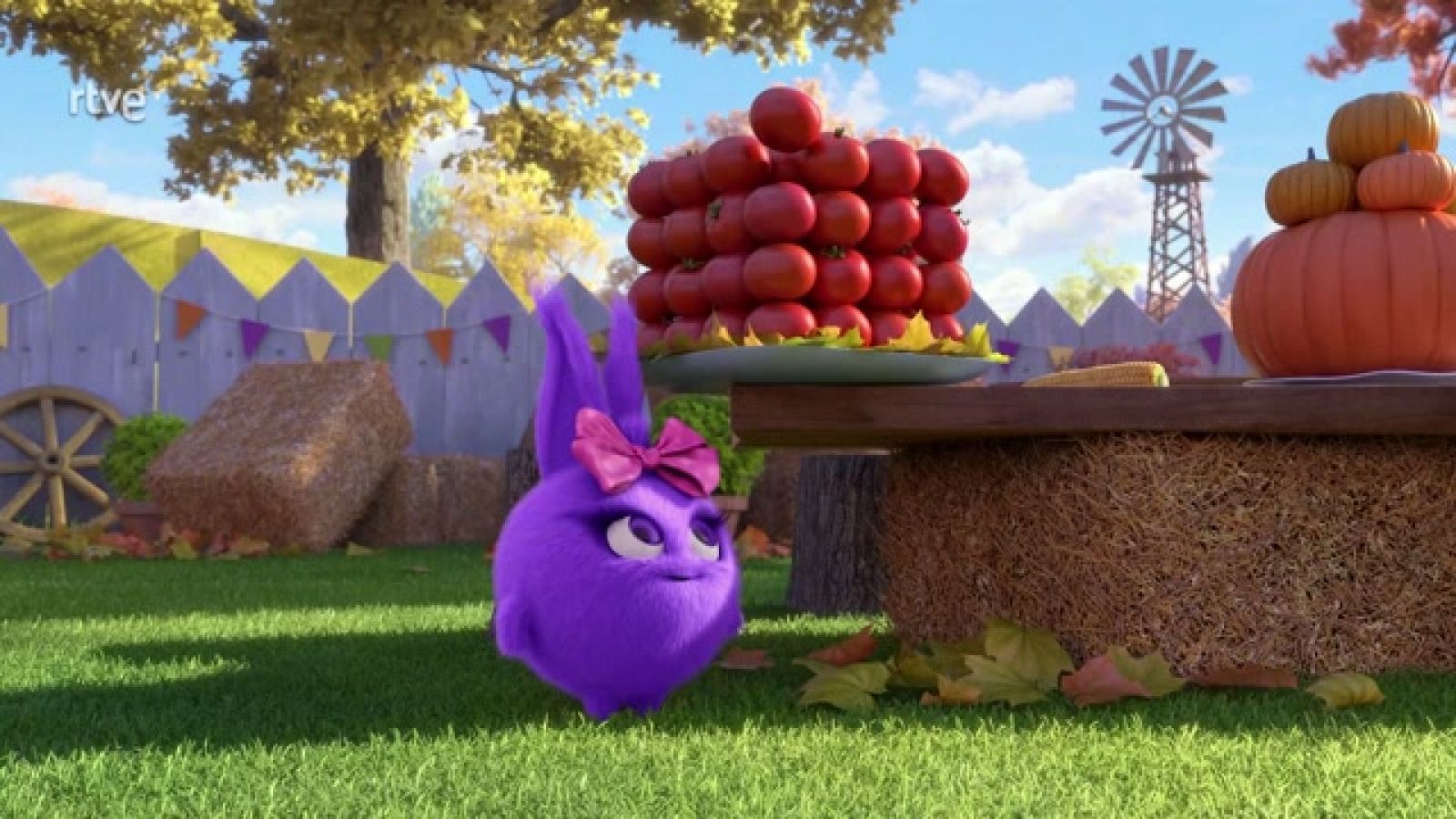 Día de Acción de Gracias soleado - Las aventuras de Sunny Bunnies | Ver