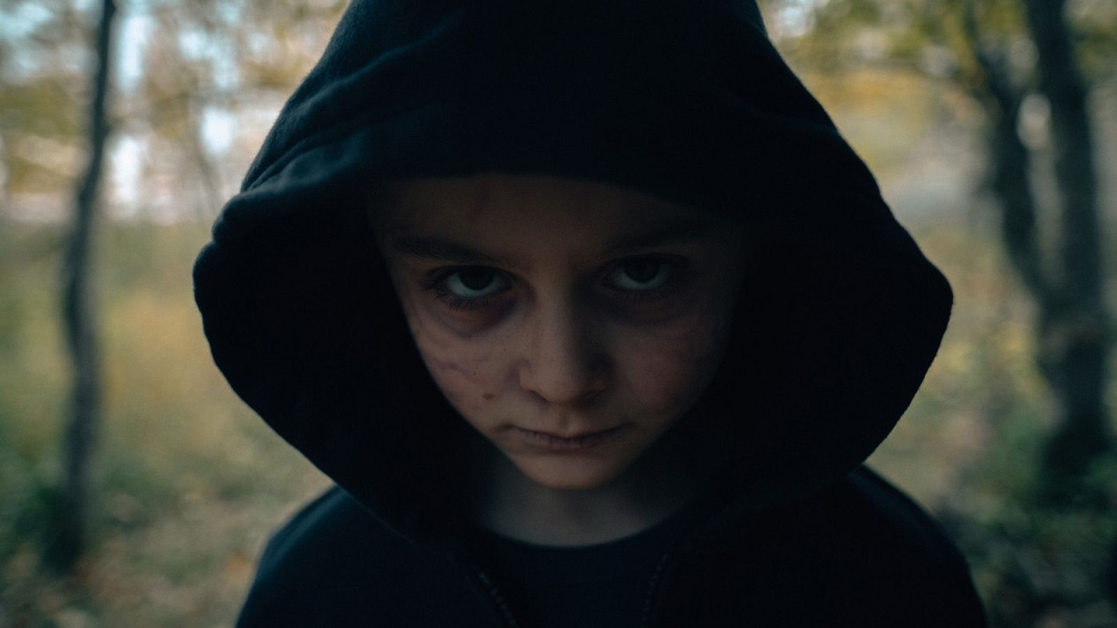 Días de Cine: Blood de Brad Anderson | Ver