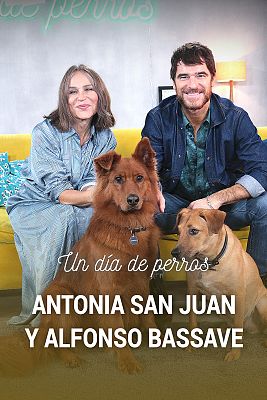 Un día de perros - Antonia San Juan y Alfonso Bassave