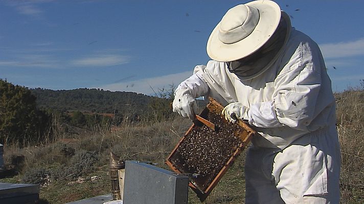 Agrosfera - Agrosfera - 16/12/23