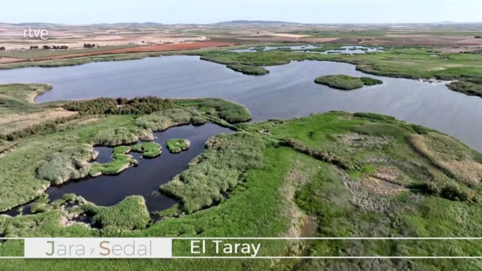 Jara y sedal - El Taray - ver ahora