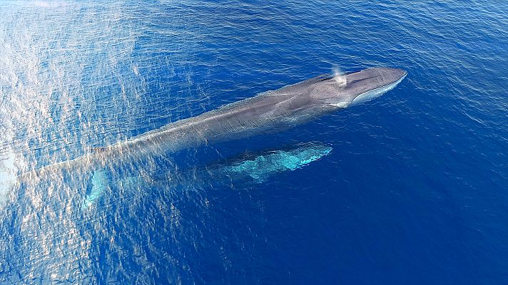 El Mediterráneo, la vida bajo el asedio - Hacerse adulto