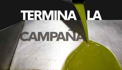 Apurando la campa�a de la aceituna - Ver ahora