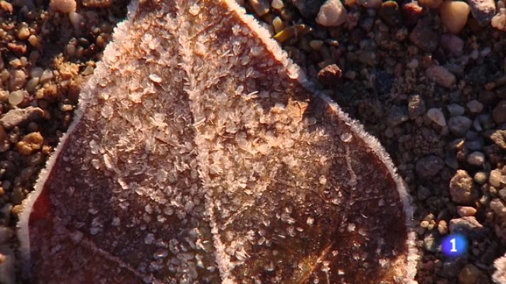 Informativo Telerioja - Telerioja en 2' - 19-12-2023