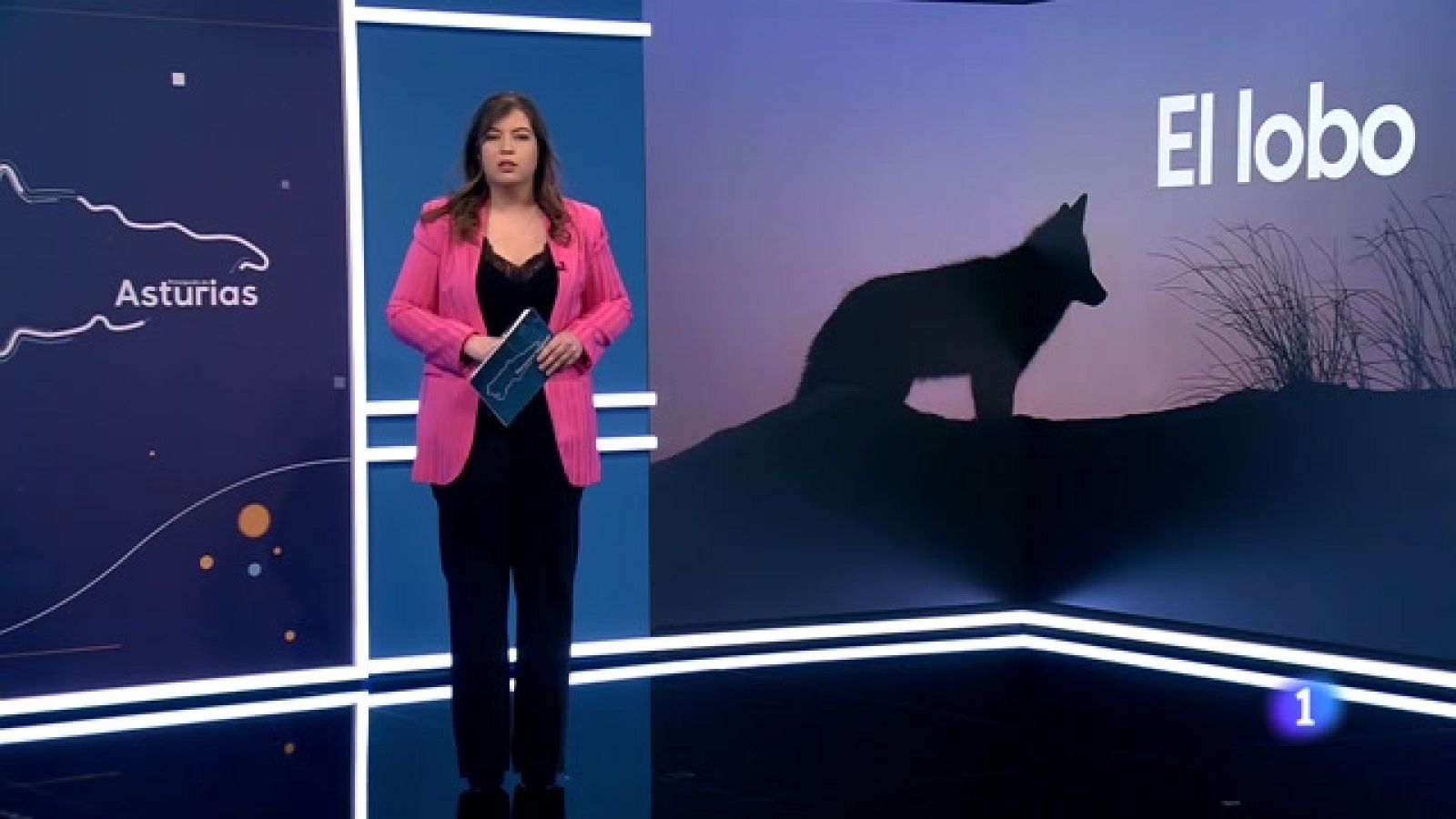 Panorama Regional - 20/12/2023 - Ver ahora