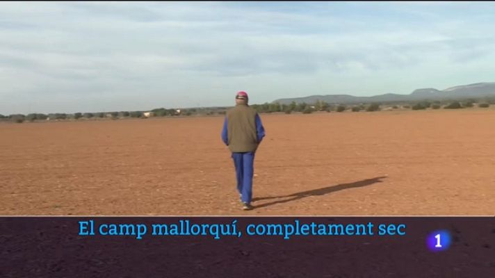 Informatiu Balear - Informatiu Balear 1 - 20/12/23