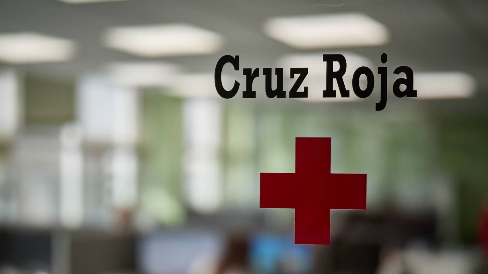 Las ONG refuerzan el apoyo a los más vulnerables de cara a la Navidad