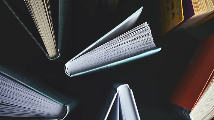 Telediario 1 - Amnistía, euríbor, fentanilo o polarización, entre las candidatas a palabra del año 2023