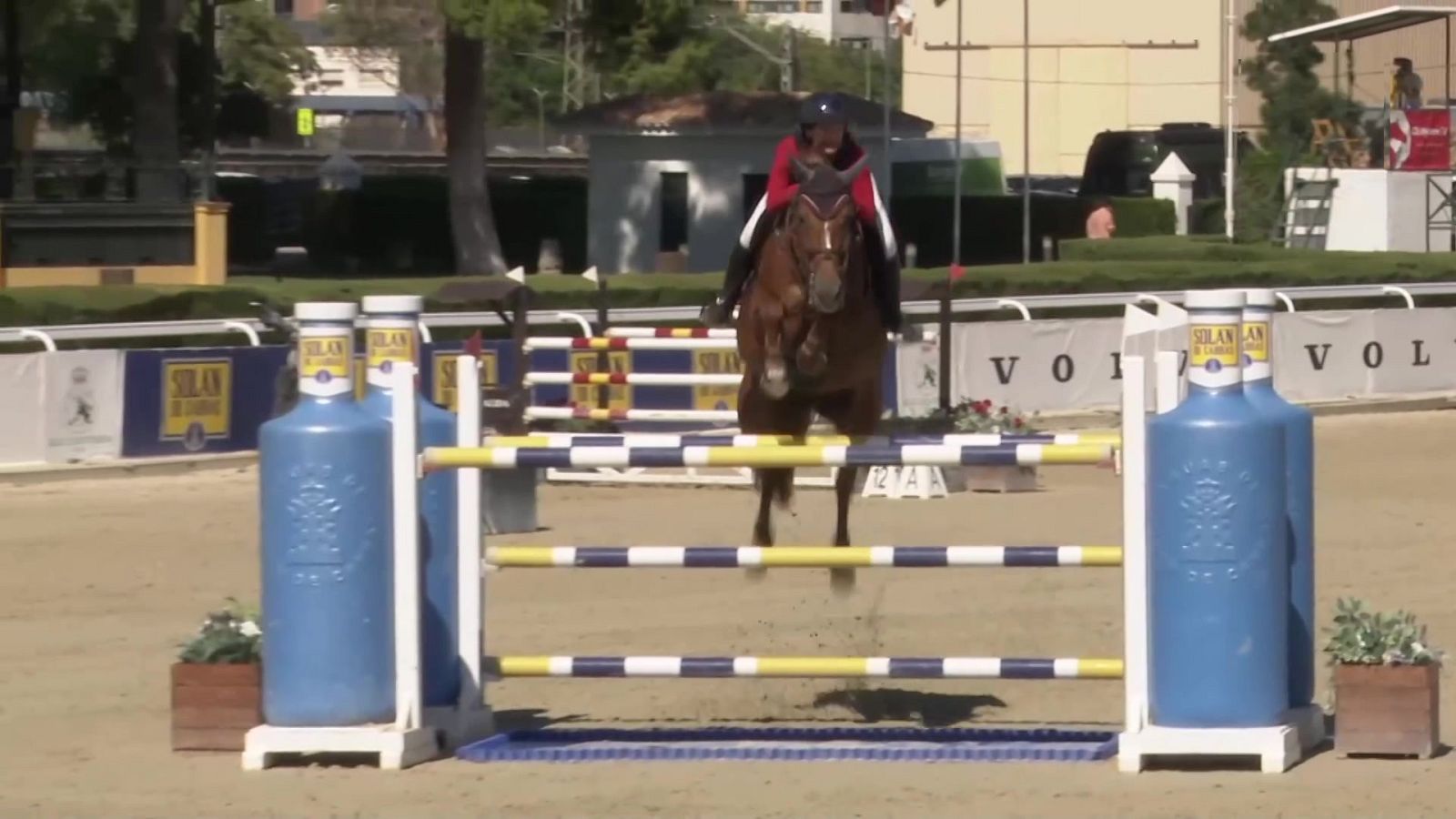 Hípica - Lo mejor de 2023 Hípica. Liga nacional saltos resumen temporada - ver ahora