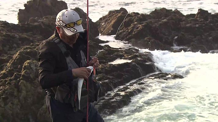 Jara y sedal - Las lubinas de Cabo Home