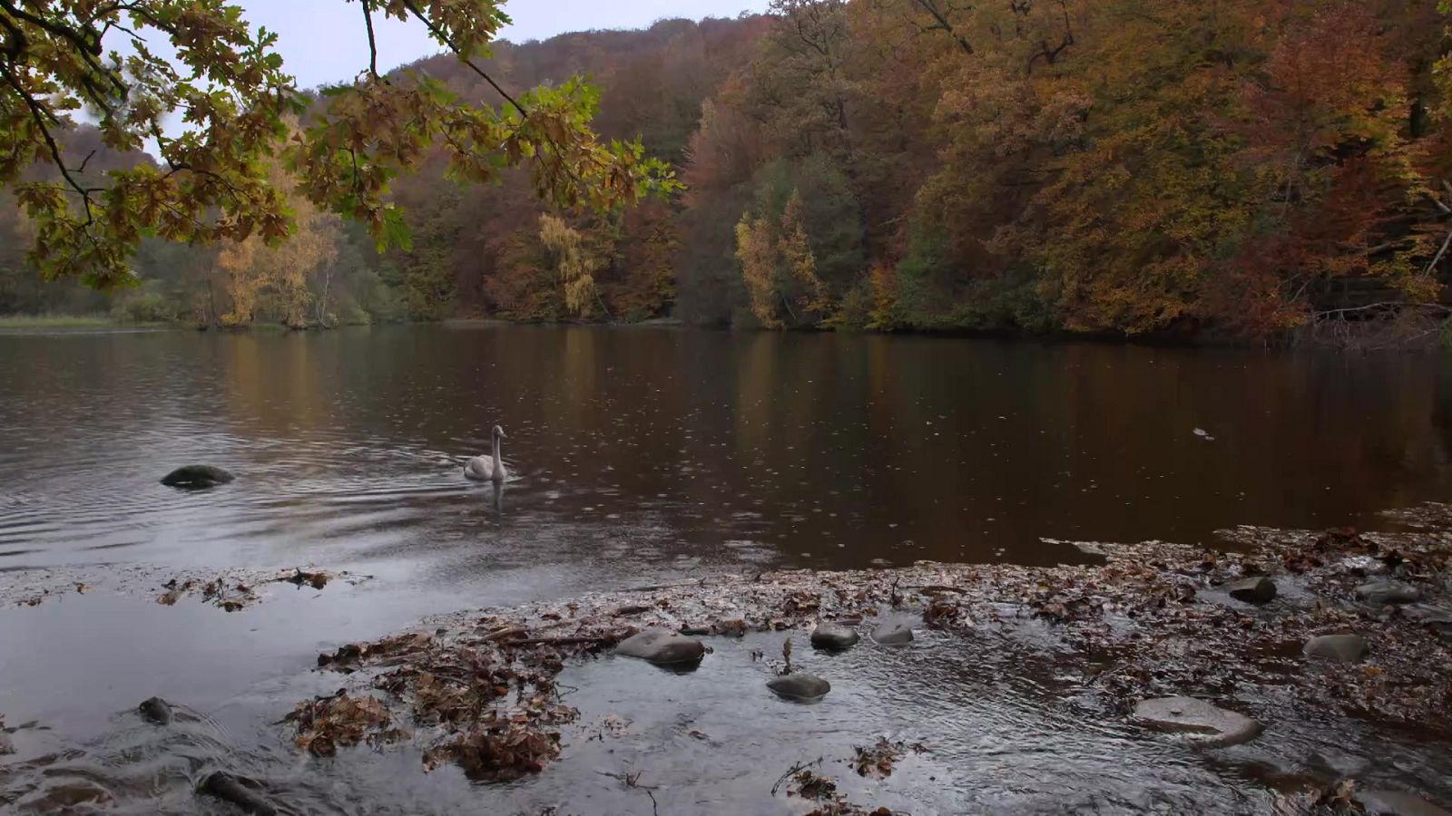 Turismo rural en el mundo - Suecia: la huella de los gigantes - ver ahora