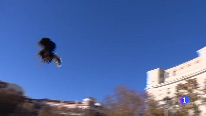 Un halcón y dos águilas serán los nuevos vigilantes de la Puerta de Alcalá