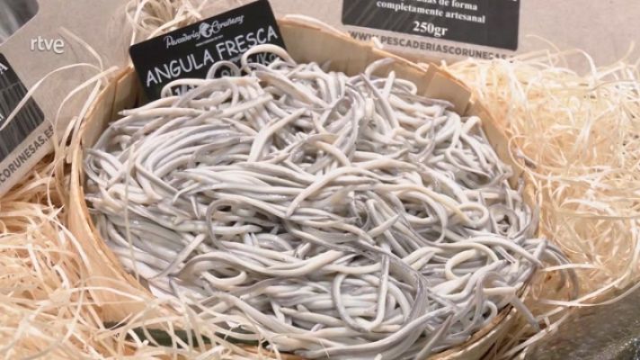 Ahora o nunca - ¿Por qué son tan caras las angulas?