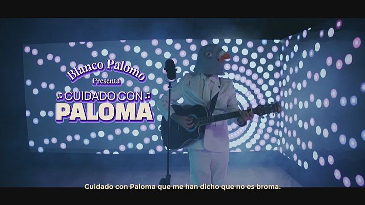 L'informatiu - Comunitat Valenciana - L'Ajuntament ha iniciat una campanya per a demanar als veïns que no alimenten els coloms