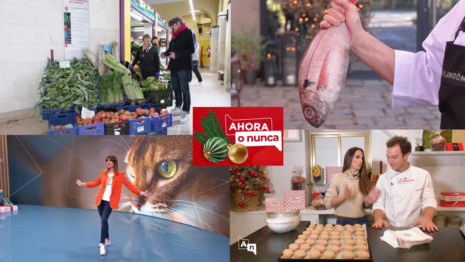 Ahora o nunca - Programa 236 - ver ahora