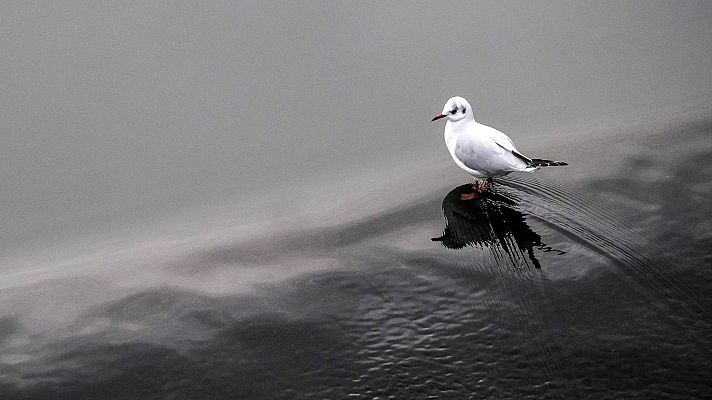 El tiempo - Ligero ascenso de las temperaturas y lluvias en el noroeste