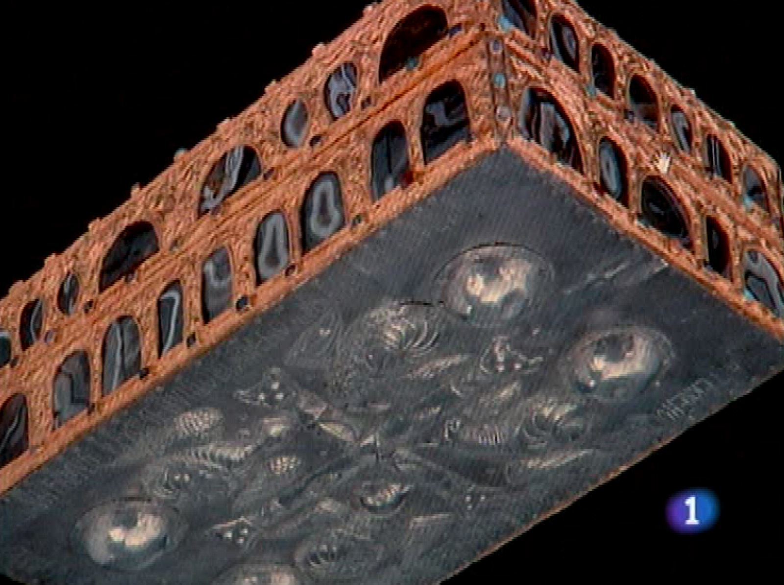 Panorama regional - 25/02/10 - Panorama Regional | Ver